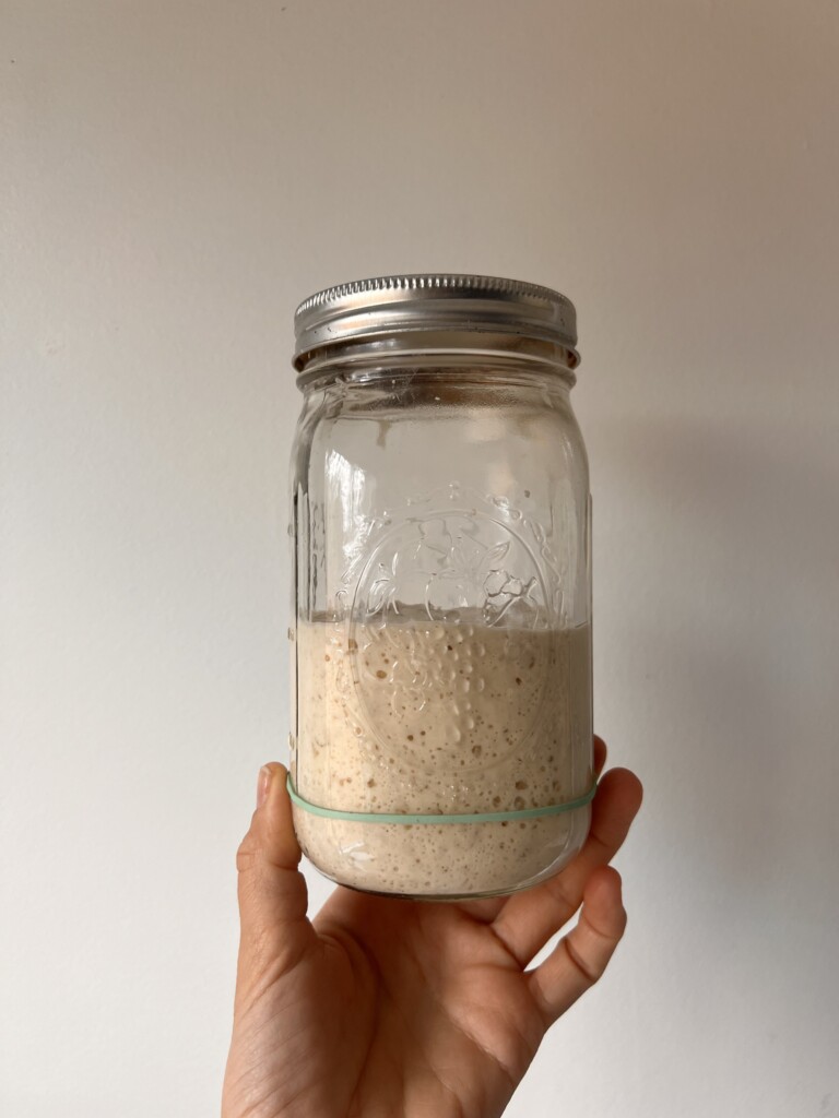 active, bubbly sourdough starter