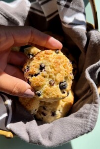Wild Blueberry Scones