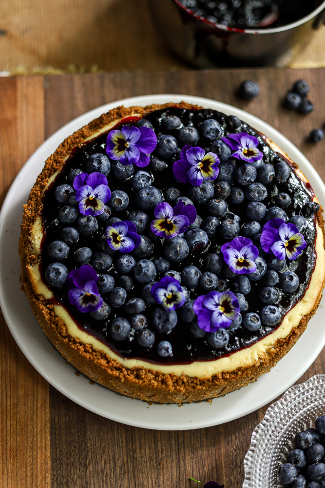 the-blueberry-cheesecake-6